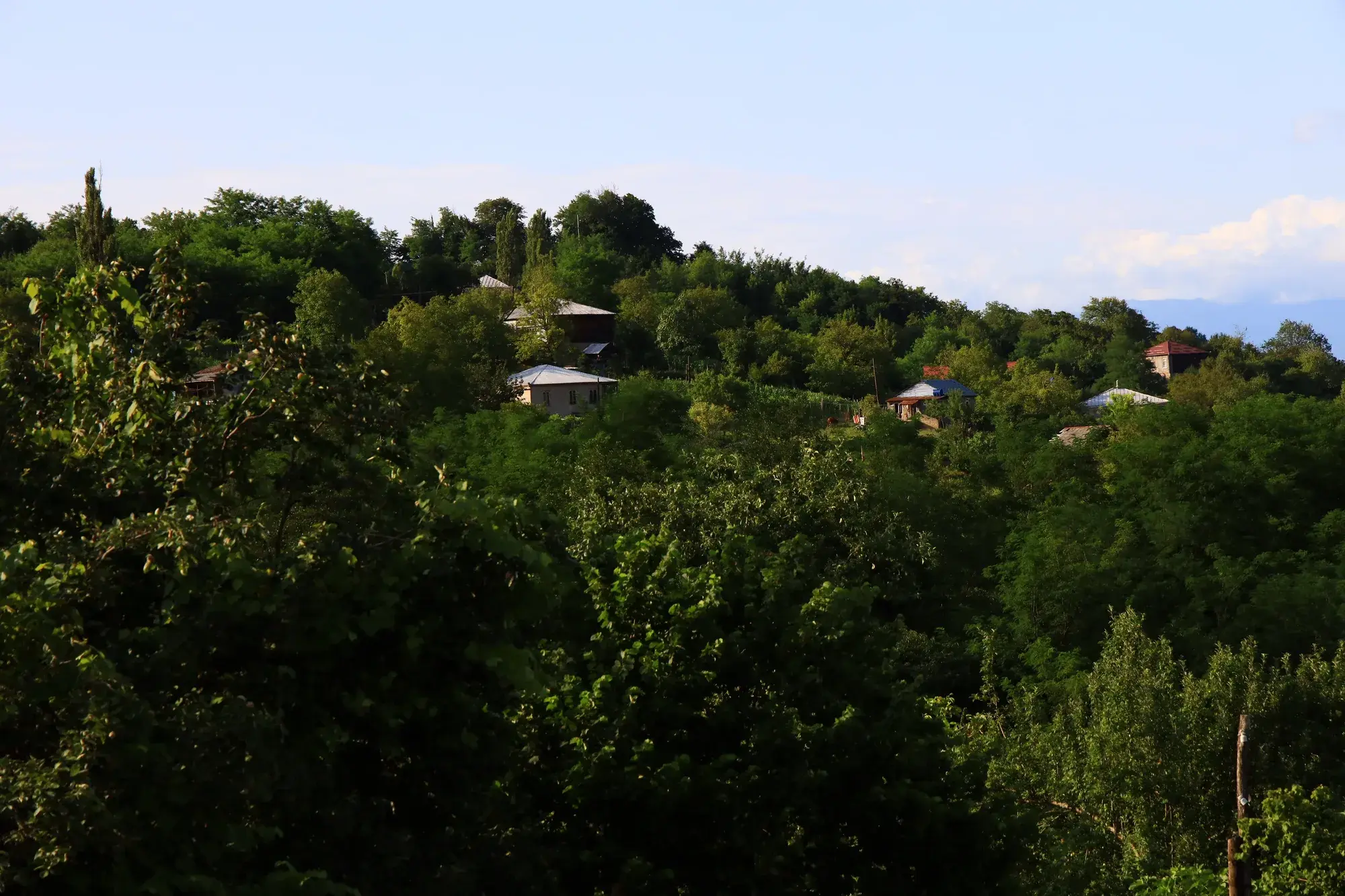 Villa Tabakini — საცურაო აუზი მთის ხედით